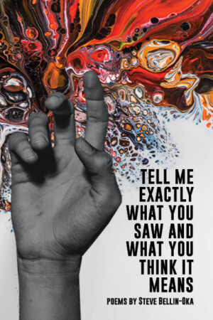 Tell Me What You Saw And What You Think It Means (Book Cover)