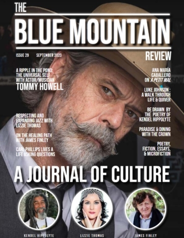 The Blue Mountain Review Issue 29 Cover