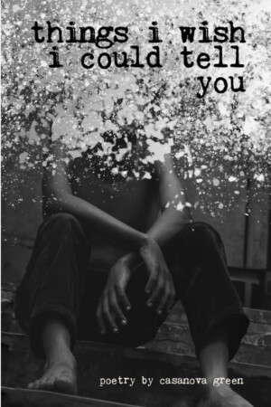 Things I Wish I Could Tell You (Book Cover)